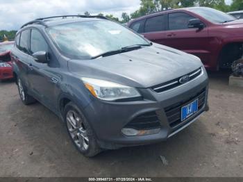  Salvage Ford Escape