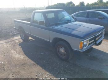  Salvage Chevrolet S Truck