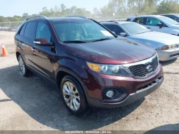  Salvage Kia Sorento