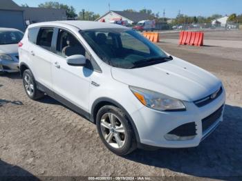  Salvage Ford Escape