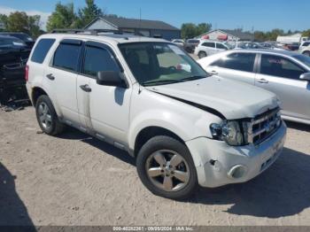  Salvage Ford Escape