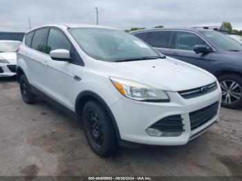  Salvage Ford Escape