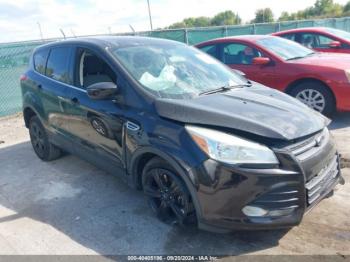  Salvage Ford Escape