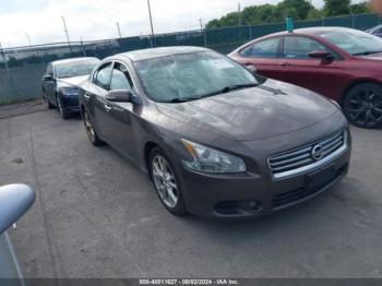  Salvage Nissan Maxima