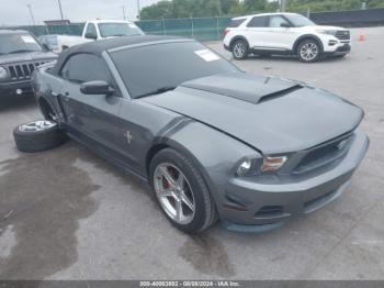  Salvage Ford Mustang