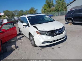  Salvage Honda Odyssey