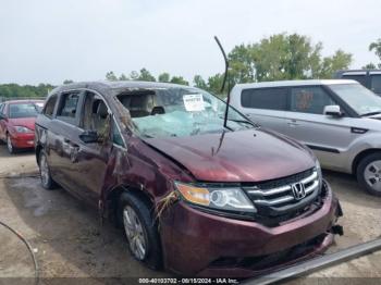  Salvage Honda Odyssey