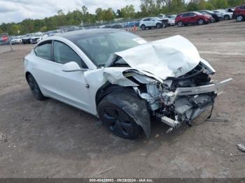  Salvage Tesla Model 3