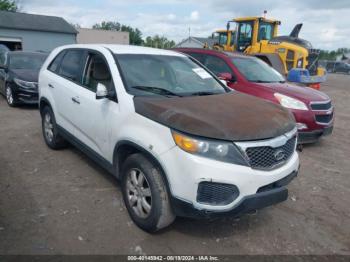  Salvage Kia Sorento