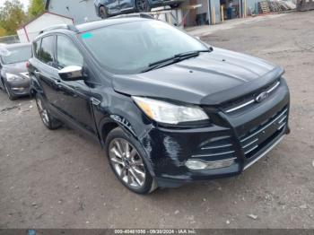  Salvage Ford Escape