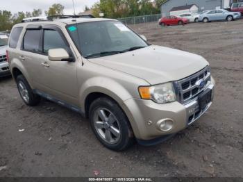  Salvage Ford Escape