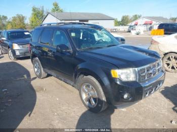  Salvage Ford Escape