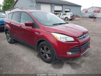  Salvage Ford Escape