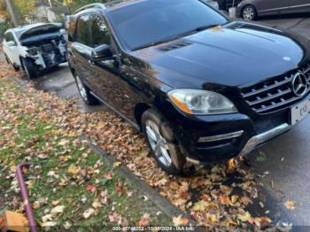  Salvage Mercedes-Benz M-Class