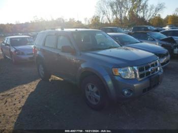  Salvage Ford Escape