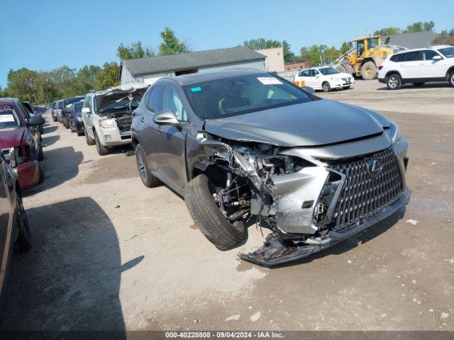  Salvage Lexus NX