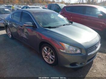  Salvage Nissan Maxima