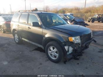  Salvage Ford Escape