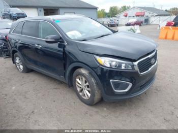  Salvage Kia Sorento