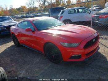  Salvage Ford Mustang