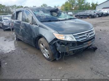  Salvage Honda Odyssey