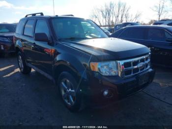  Salvage Ford Escape