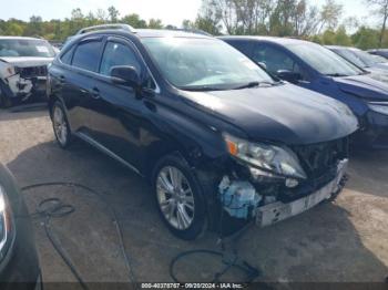  Salvage Lexus RX