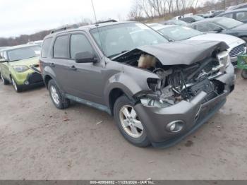  Salvage Ford Escape