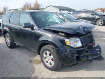  Salvage Mercury Mariner