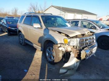  Salvage Ford Escape