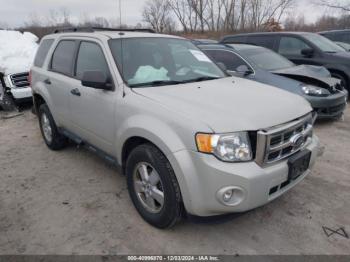  Salvage Ford Escape