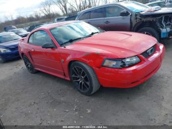  Salvage Ford Mustang