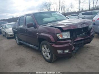  Salvage Honda Ridgeline