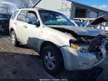  Salvage Ford Escape