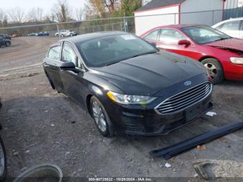  Salvage Ford Fusion