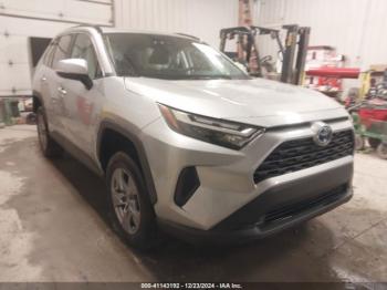  Salvage Toyota RAV4