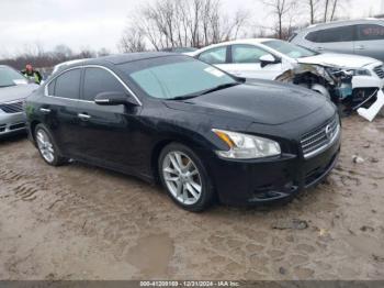  Salvage Nissan Maxima