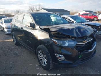  Salvage Chevrolet Equinox