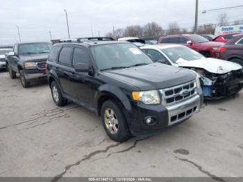  Salvage Ford Escape