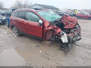  Salvage Ford Escape