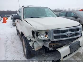  Salvage Ford Escape