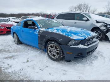  Salvage Ford Mustang