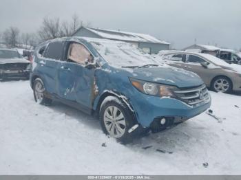  Salvage Honda CR-V