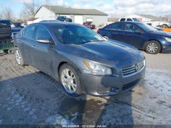  Salvage Nissan Maxima