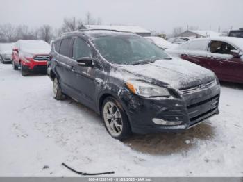  Salvage Ford Escape