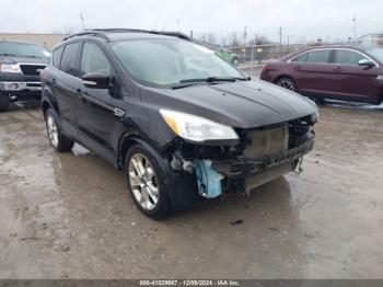  Salvage Ford Escape