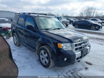  Salvage Ford Escape