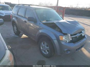  Salvage Ford Escape