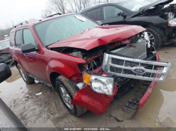  Salvage Ford Escape