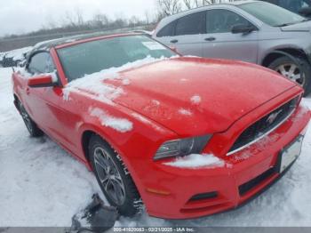  Salvage Ford Mustang